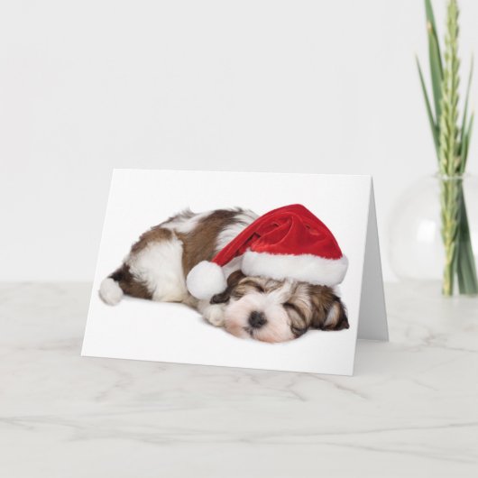 De leuke Hond van het Puppy van Havanese van de Feestdagen Kaart (Voorkant)