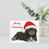 De leuke Hond van het Puppy van Havanese van Feestdagenkaart (Staand voorkant)