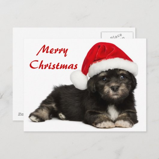 De leuke Hond van het Puppy van Havanese van Feestdagenkaart (Voorkant / Achterkant)