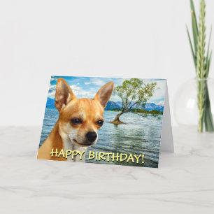 De leuke kaart van chihuahua klantgerichte groeten
