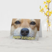 De leuke kaart van de corgiverjaardag (Gele Bloem)