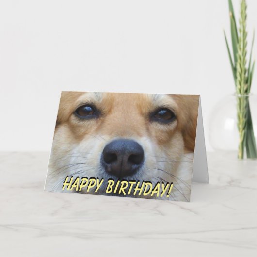 De leuke kaart van de corgiverjaardag (Voorkant)