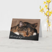 De leuke Kaart van de Kat van de Slaap, het Denken (Gele Bloem)