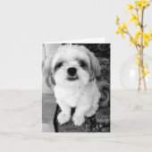 De leuke Kaart van de Nota van Shih Tzu (Gele Bloem)