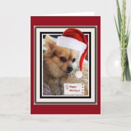 De leuke Kaart van de Vakantie Doggie