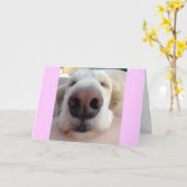 De leuke Kaart van de Verjaardag (Gele Bloem)