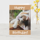 De leuke Kaart van de Verjaardag van de Kat van (Gele Bloem)