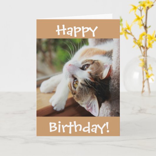 De leuke Kaart van de Verjaardag van de Kat van (Gele Bloem)