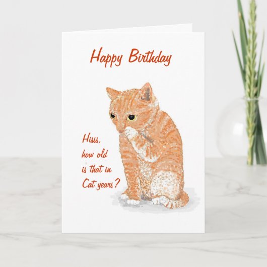 De leuke kaart van de Verjaardag van het Katje (Voorkant)