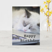 De leuke Kaart van de Verjaardag van het Katje In (Gele Bloem)