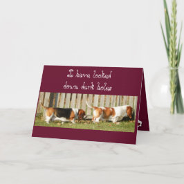 De leuke Kaart w/Searching Basset Hound van de