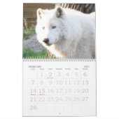 DE LEUKE KALENDER VAN DIEREN 2013 (Feb 2027)