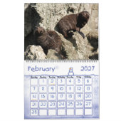 DE LEUKE KALENDER VAN DIEREN 2013 (Feb 2027)
