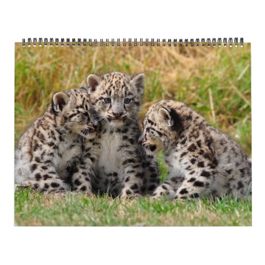 DE LEUKE KALENDER VAN DIEREN 2013 (Hoes)