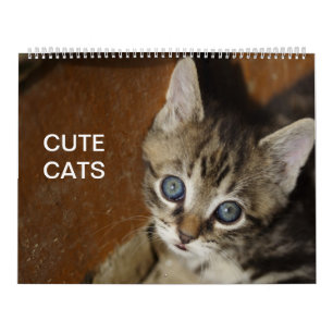 De leuke Kalender van Katten