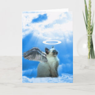 De leuke Kerstkaart van het Katje van de Kat Feestdagen Kaart