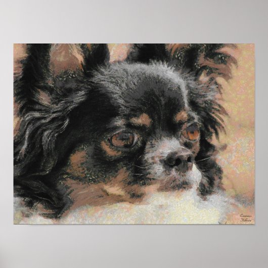 De leuke Lange Druk van het Poster van Chihuahua (Voorkant)