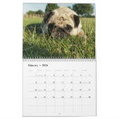 De leuke Pugs Personaliseerbare Kalender van (Feb 2026)