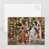 De leuke Redding Pitbull van Kerstmis en de Hond Feestdagenkaart (Voorkant / Achterkant)