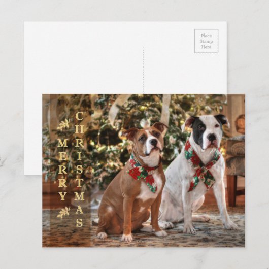 De leuke Redding Pitbull van Kerstmis en de Hond Feestdagenkaart (Voorkant / Achterkant)