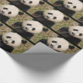 De leuke ReuzePanda draagt Cadeaupapier (Hoek)