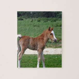 De leuke Schattige Lente van de Giften van het Lot Legpuzzel