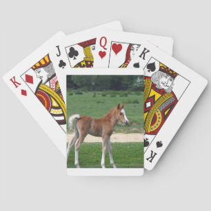 De leuke Schattige Lente van de Giften van het Lot Pokerkaarten