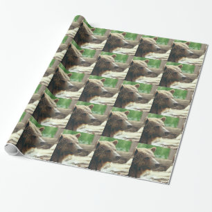 De leuke Schattige Natuur draagt de Dierlijke Ogen Cadeaupapier