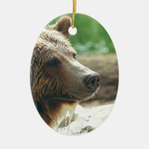 De leuke Schattige Natuur draagt de Dierlijke Ogen Keramisch Ornament