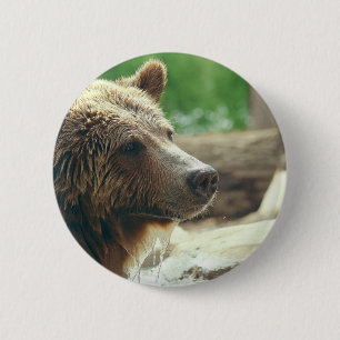 De leuke Schattige Natuur draagt de Dierlijke Ogen Ronde Button 5,7 Cm