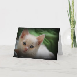 De leuke spatie van het de fotowenskaart van het bedankkaart