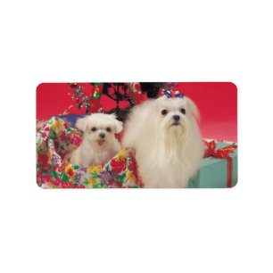 De leuke Stickers van het Etiket van het "puppy"