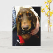 De leuke Tekkel wordt goed spoedig kaart (Gele Bloem)