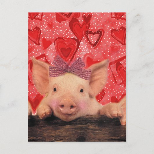 De leuke varkens van Valentijn Feestdagenkaart (Voorkant)