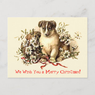 De leuke Vrolijke Kerstkaarten en de Briefkaarten