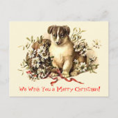 De leuke Vrolijke Kerstkaarten en de Briefkaarten (Voorkant)