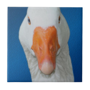 De leuke Witte Natuur van de Gans Tegeltje