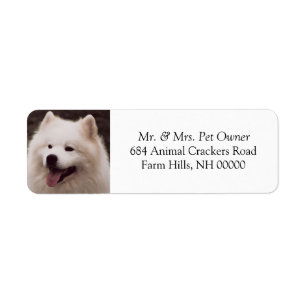 De leuke Witte Stickers van de Etiketten van de