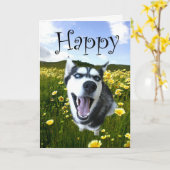 De leukste Kaart van de Verjaardag van de Schor (Gele Bloem)