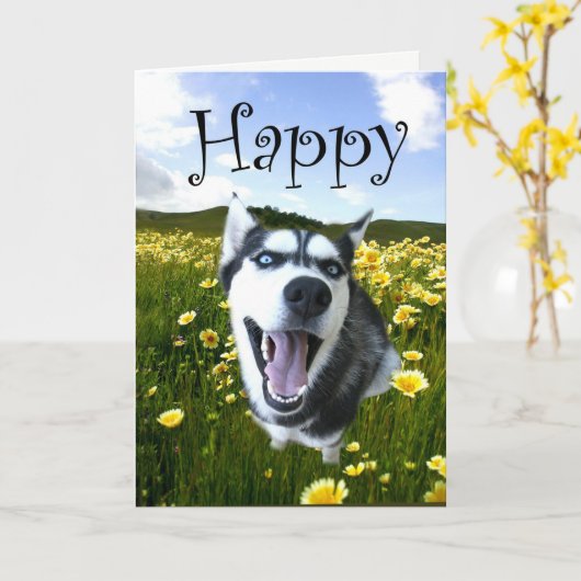 De leukste Kaart van de Verjaardag van de Schor (Gele Bloem)