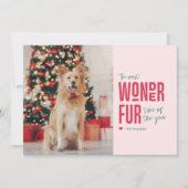 De leukste kerstkaart voor huisdieren (Voorkant)