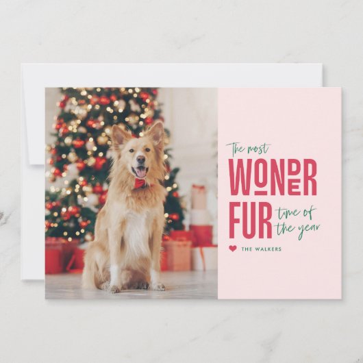 De leukste kerstkaart voor huisdieren (Voorkant)