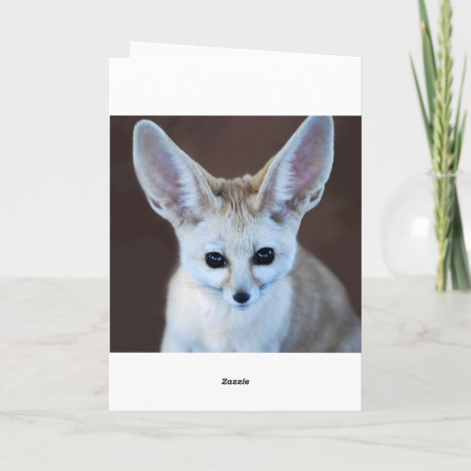 De Leukste Vos Fennec van werelden Kaart (Achterkant)