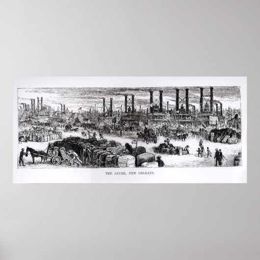 De Levee, New Orleans Poster (Voorkant)