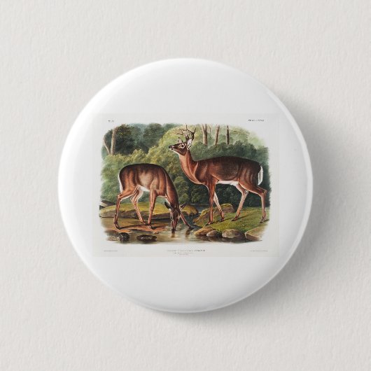 de levendbarende viervoeters door John James Audub Ronde Button 5,7 Cm (Voorkant)