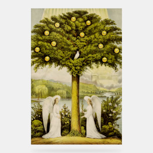 De levensboom acryl bord