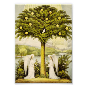 De levensboom foto afdruk