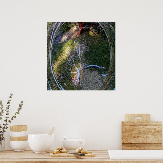 De levenscyclus... poster (Keuken)