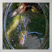 De levenscyclus... poster (Voorkant)