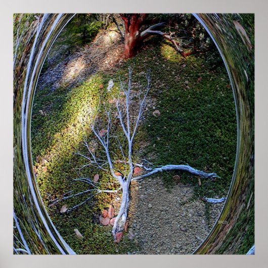 De levenscyclus... poster (Voorkant)